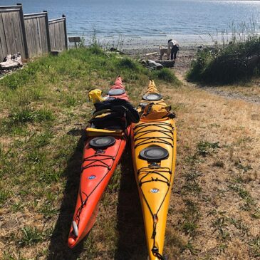 Sunday Paddle