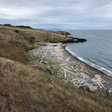 The Ambivalent Archipelago: First Impressions of the San Juan Islands