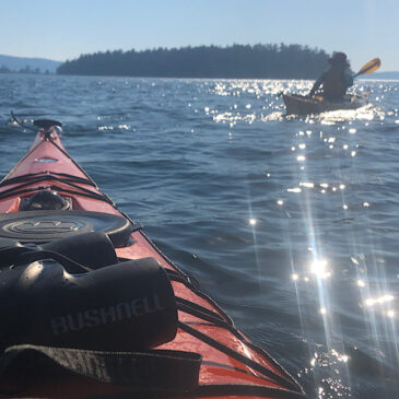 Riding Out the Heat Wave in the San Juan Islands