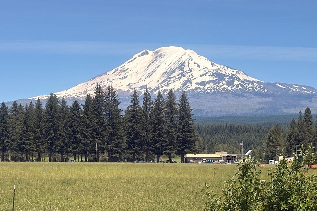 Mt. Adams from Trout Lake