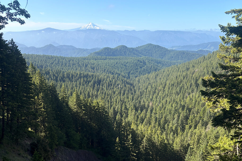 View across the Columbia River Gorge to Mt. Hood